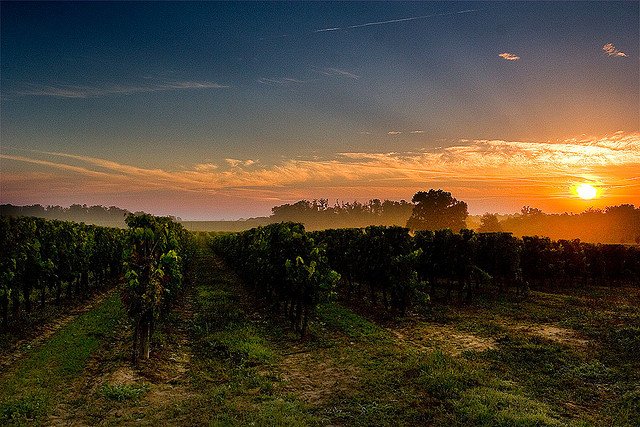 Cognac, France