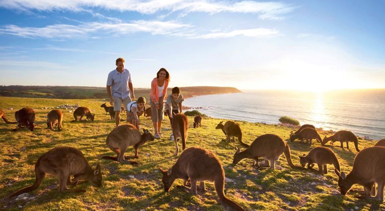 Best Places To Visit in Australia