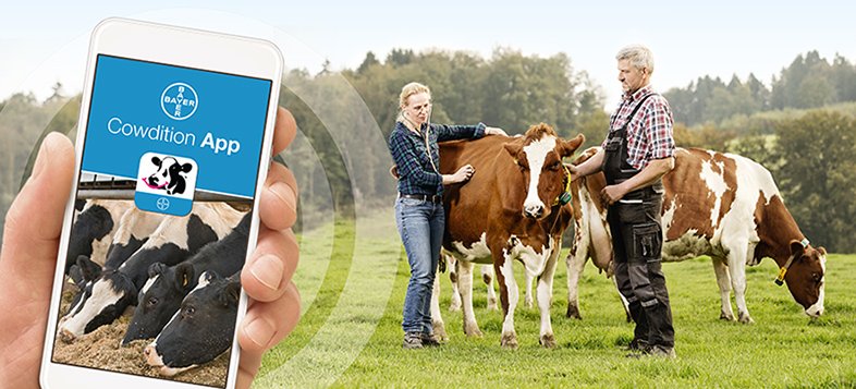 cowdition app