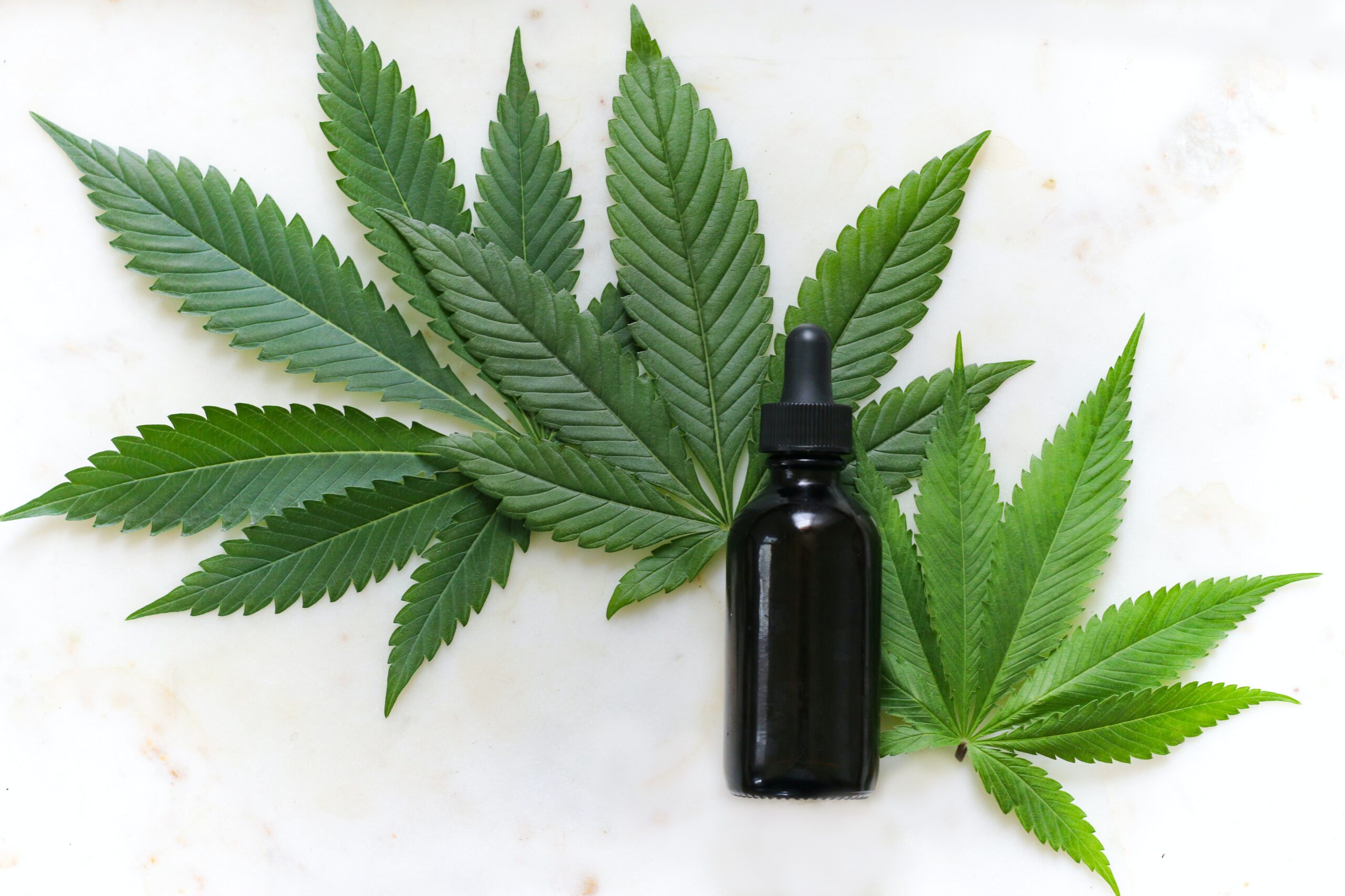 Top 5 CBD Marketing Strategies To Follow In 2020