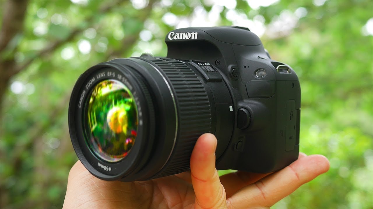 Best Camera for Beginners