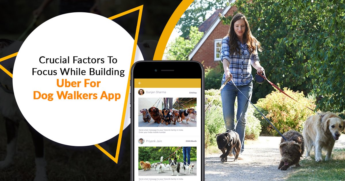 Crucial Factors To Focus While Building Uber For Dog Walkers App