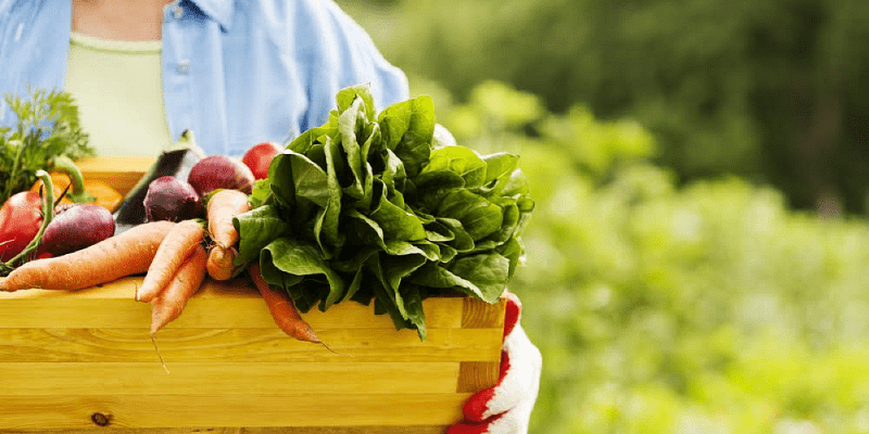 Organic Food Everything You Need to Know