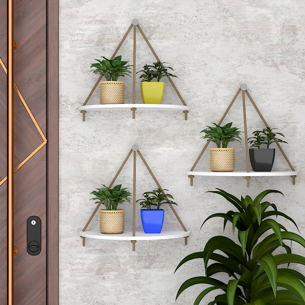 Top 5 Things to Consider Before Buying Wall Hanging Planters
