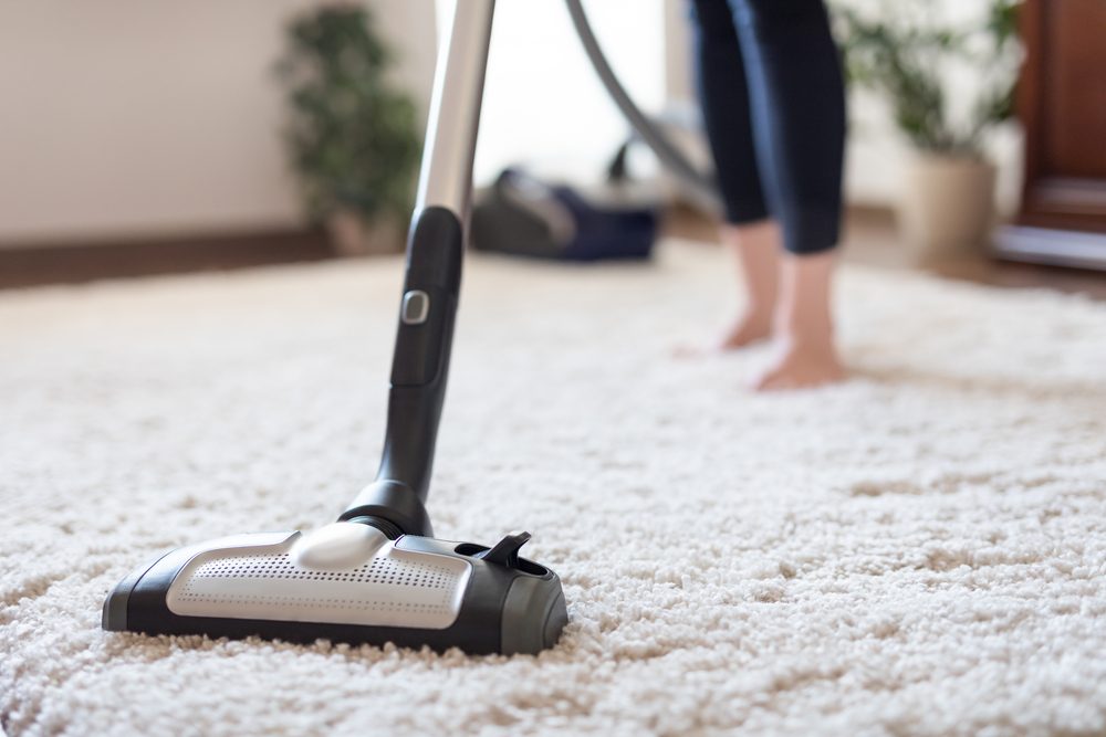 Why does every house need to get a professional cleaning?