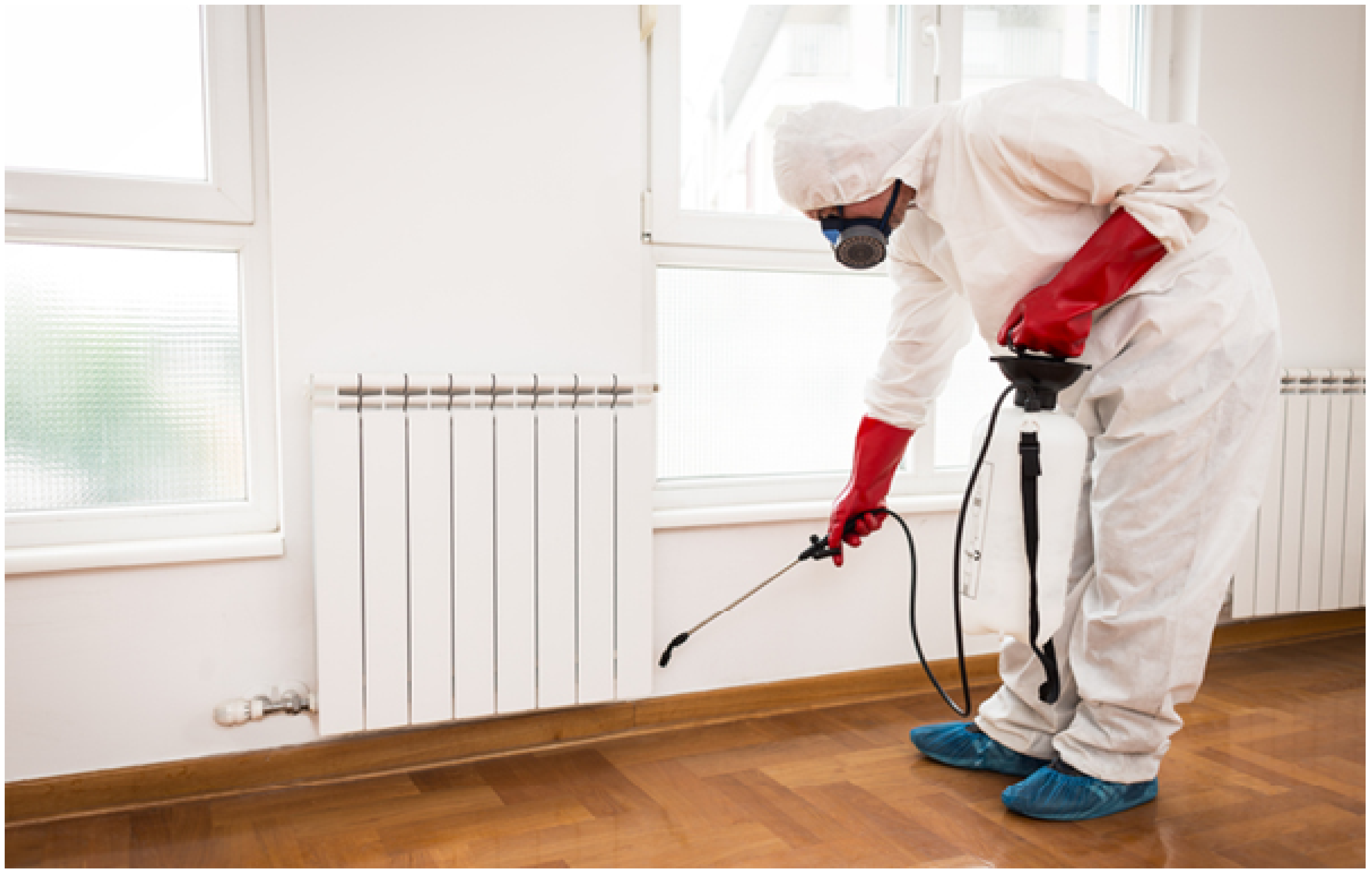 5 Benefits of Hiring Pest Exterminators in Vancouver