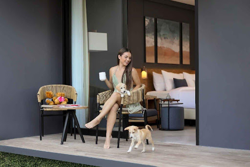 Why Pet-Friendly Hotels Are Bringing in New Customers